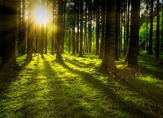 Ile kosztuje audyt energetyczny do programu czyste powietrze? Ile kosztuje audyt energetyczny do programu czyste powietrze?